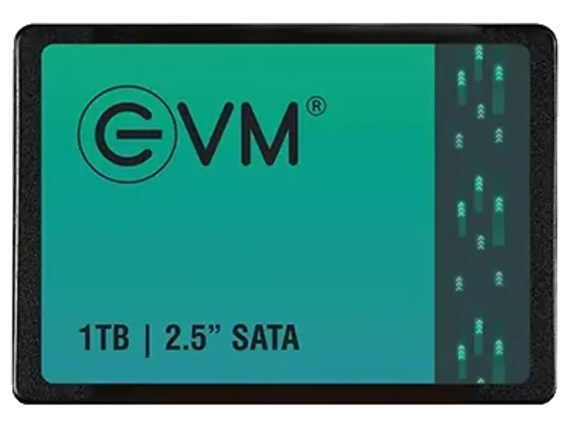 EVM 1TB SATA SSD