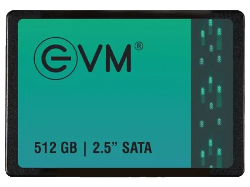 EVM 512GB Sata SSD